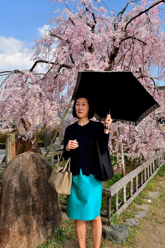 一名日本女子在京都加茂河畔欣赏樱花