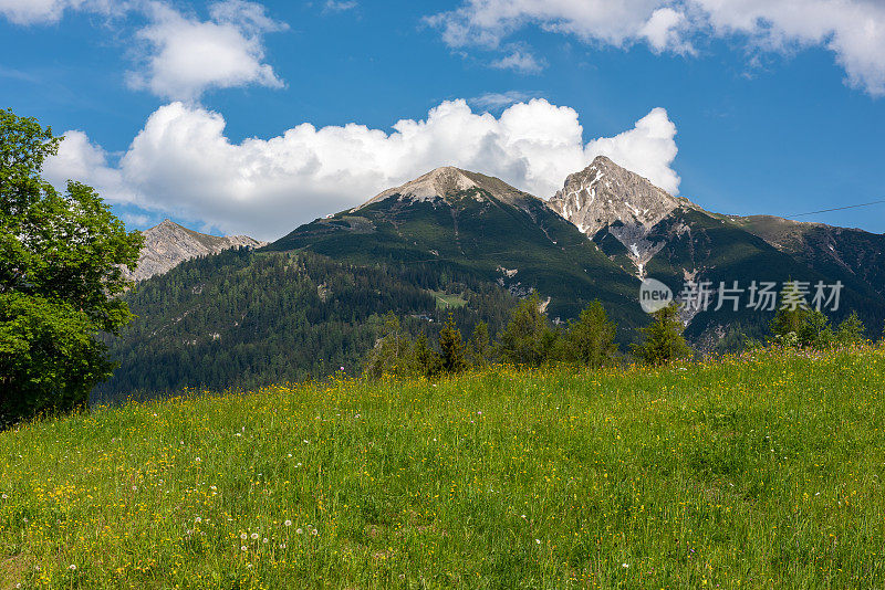 奥地利阿尔卑斯山的山脉和草地