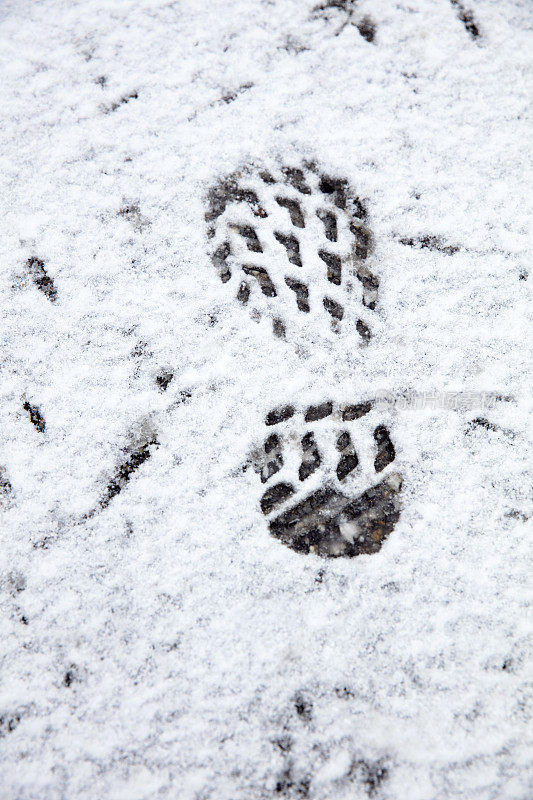 雪地里的脚印