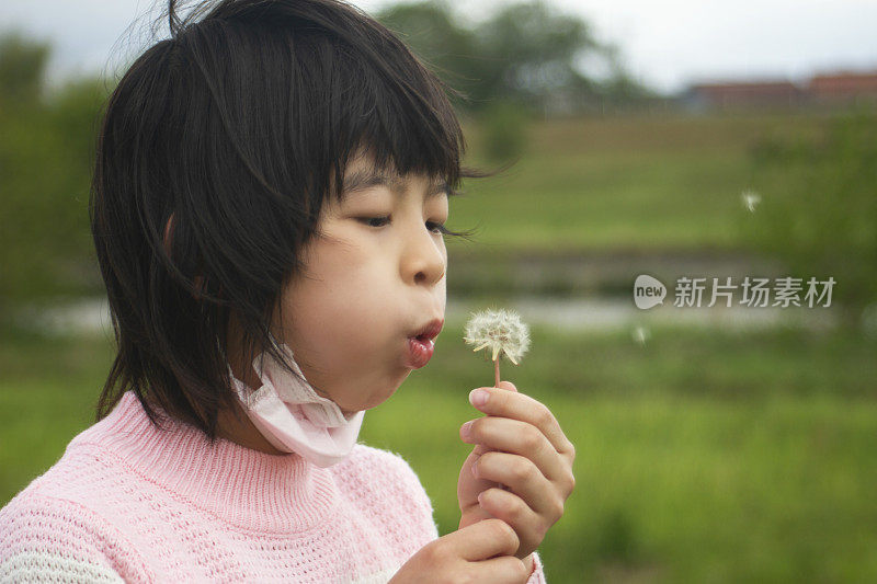 一个小女孩向蒲公英的爸爸呼气的特写