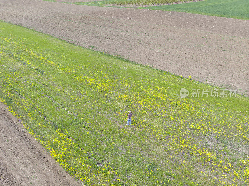 初春时节，戴着牛仔帽的农民在农田里劳作