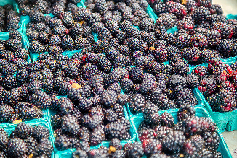 盒装的农贸市场黑莓