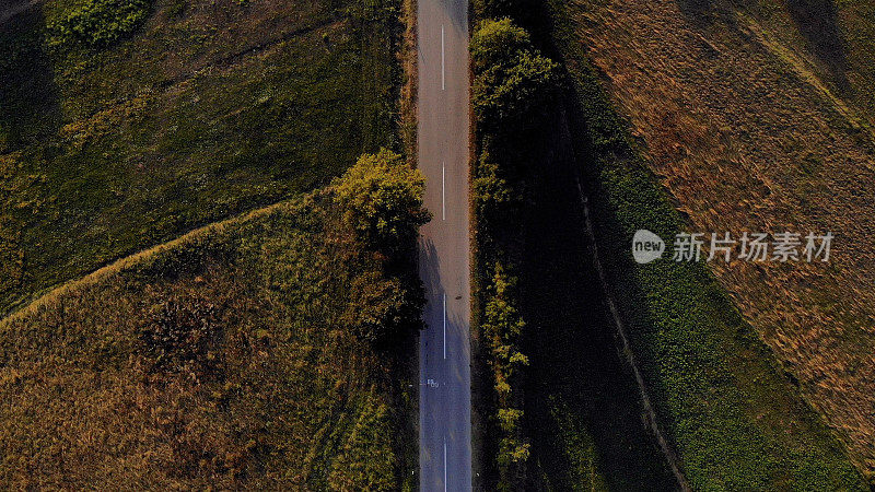 鸟瞰图，一辆红色的汽车沿着一条两侧是森林的道路行驶