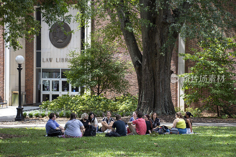 一群面带微笑的学生坐在大学校园法律图书馆前一棵大橡树的树荫下的草地上。