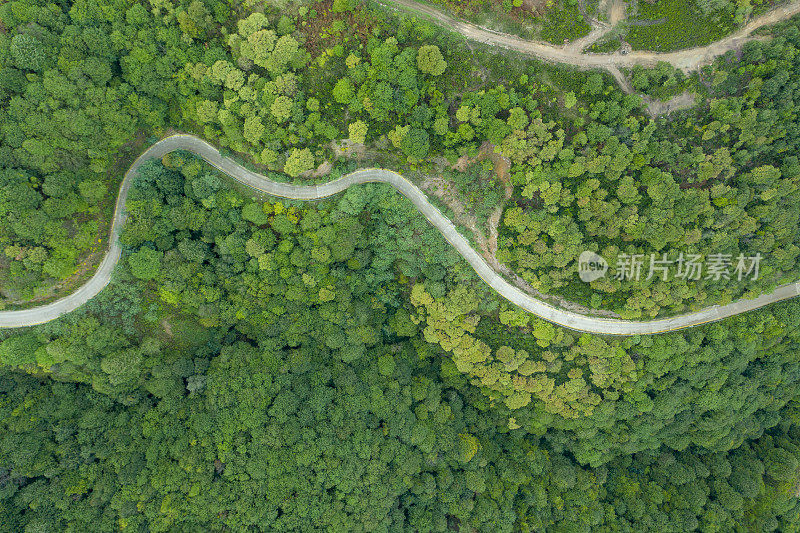 蜿蜒的道路。田园诗般的蜿蜒森林之路。