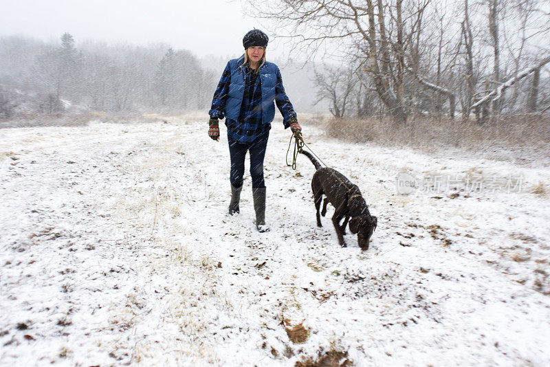 在暴风雪中遛狗