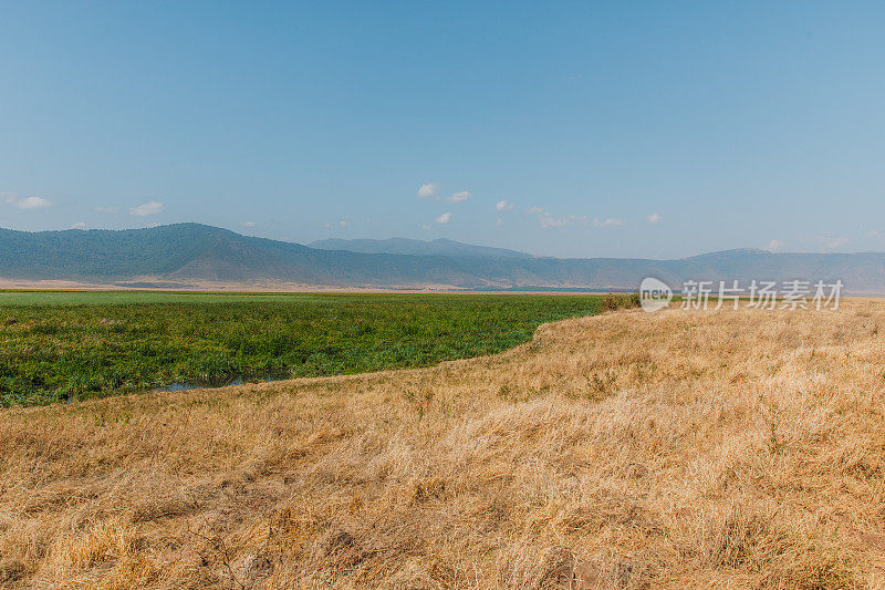 坦桑尼亚恩戈罗恩戈罗火山口的非洲风景