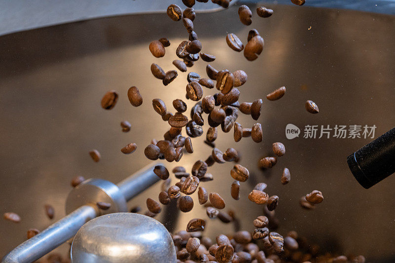 罗布斯塔(Robusta)或阿拉比卡(Arabica)咖啡豆被倒入工业烘焙机。咖啡豆倒出来烘烤。工业烘焙和生产，咖啡工业。咖啡烘焙机关闭