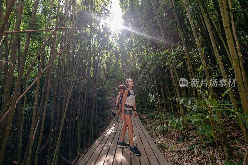 一名妇女徒步穿越热带森林，背着婴儿车蹒跚学步