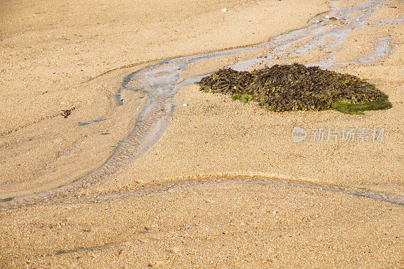 法国布列塔尼粉红色花岗岩海岸岩石之间的海湾海滩