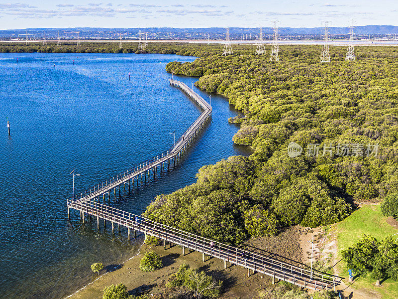 鸟瞰红树林湿地，背景为木板路和高压电线