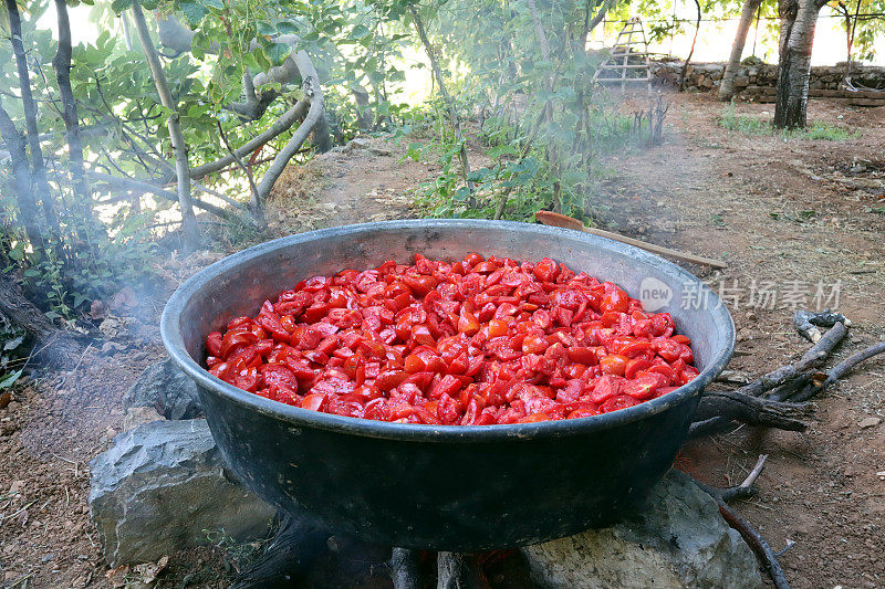 自制番茄酱的制作