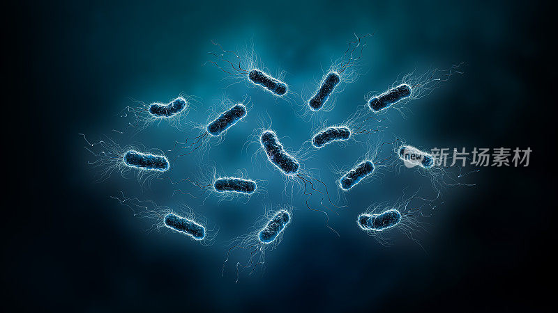 细菌群，如大肠杆菌或大肠杆菌，或杆菌3D渲染插图。微生物学、生物学、医学、保健、科学概念。