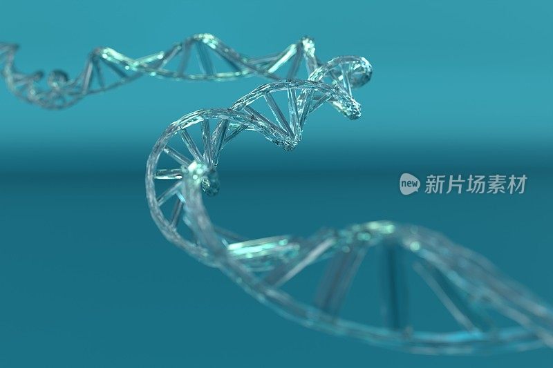 透明DNA双螺旋结构。蓝色背景