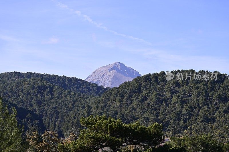 树木繁茂的小山后面是荒山。