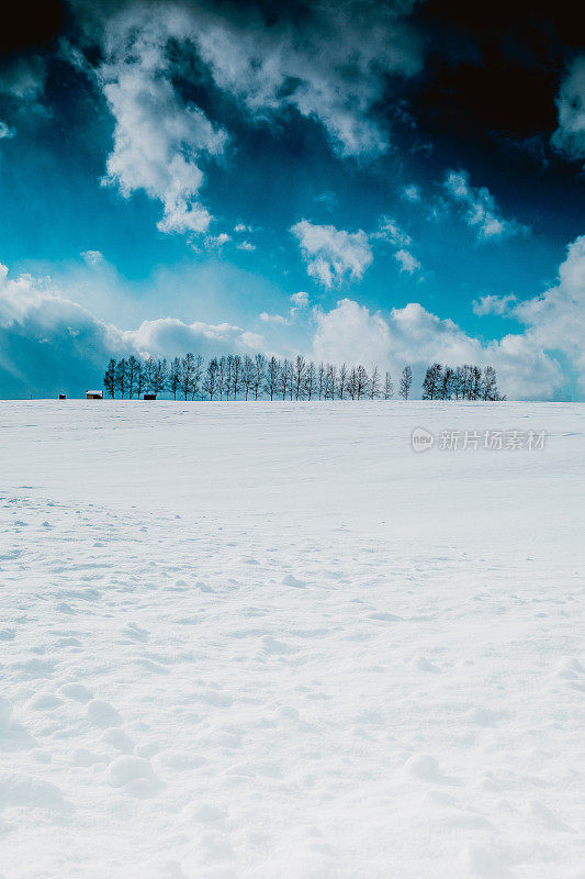 落叶松林在雪山上，碧蓝的天空在比北