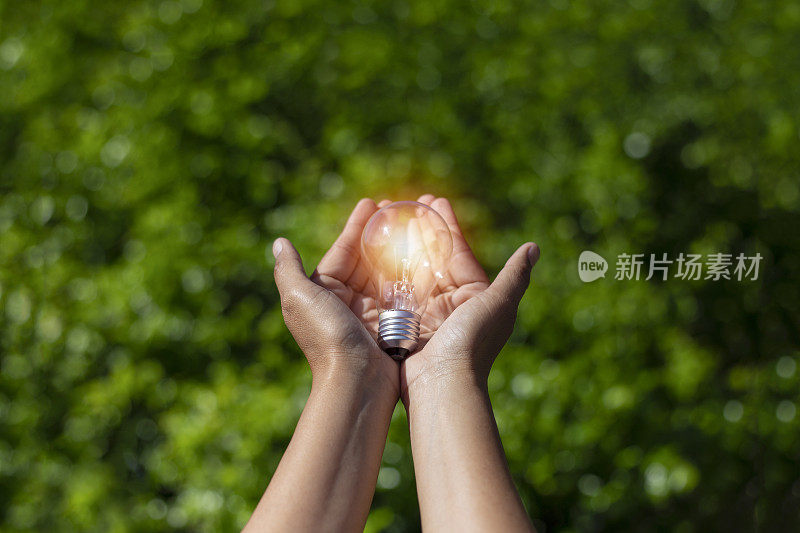 手握灯泡，自然能源，爱世界理念。
