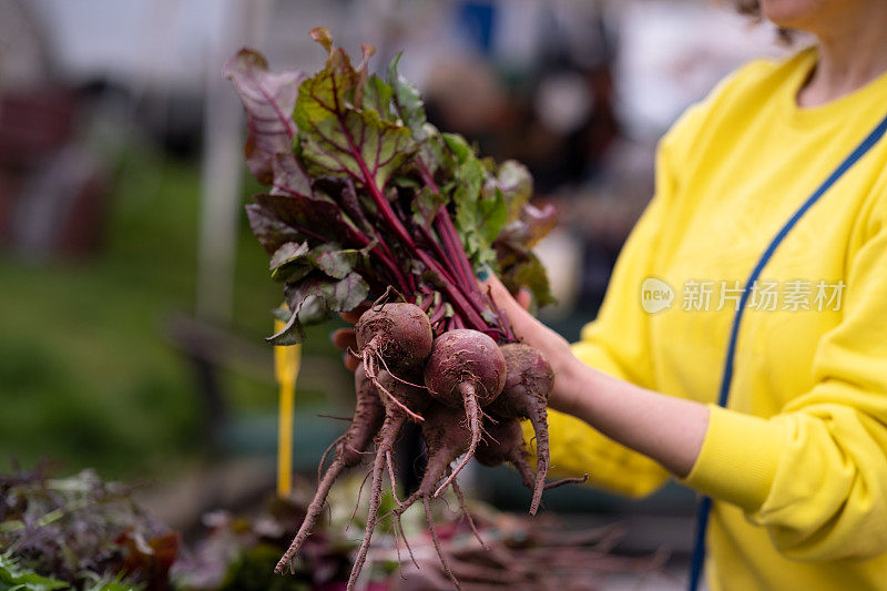 蔬菜生物市场的素食选择