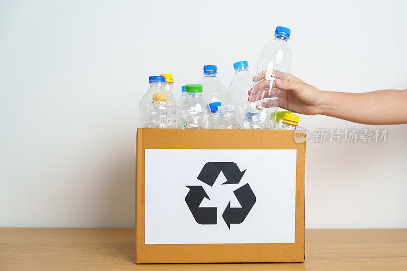 志愿者把塑料瓶放在家里或办公室的纸盒里。手工分类回收垃圾。生态、环保、污染、处置、回收、废物管理和垃圾分类的理念