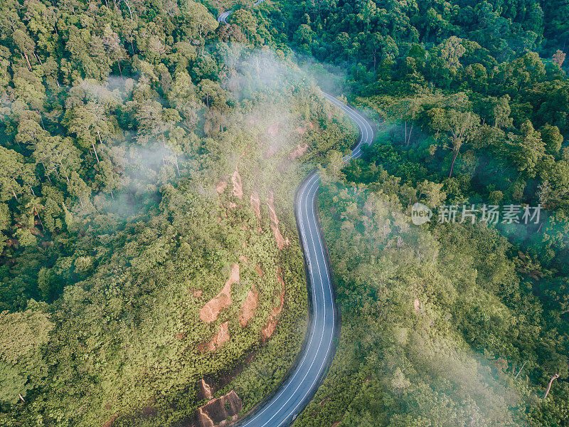 无人机拍摄的清晨乡村蜿蜒的道路