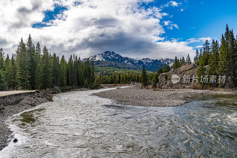 在美国西部，北美的黄石生态系统中，有常绿树木和雪山背景的河流