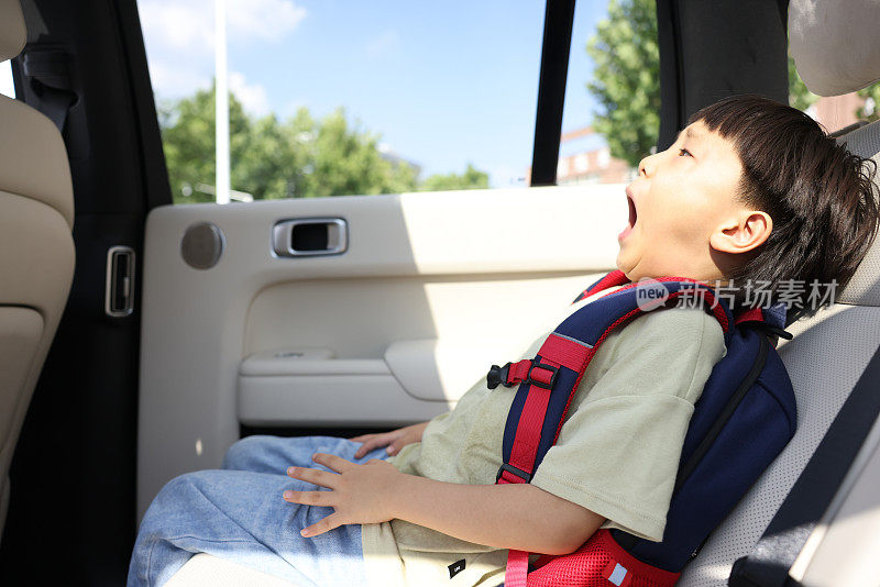 这个可爱的小男孩在开车旅行时又累又烦。