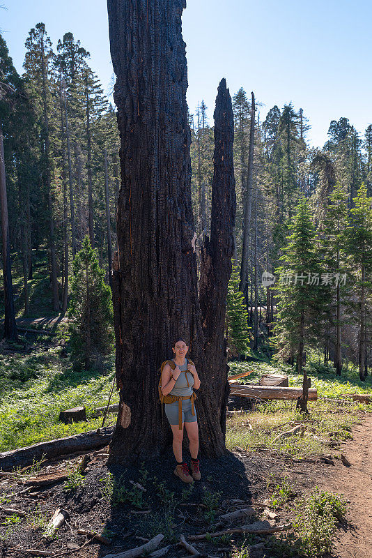 摩洛岩石小径，悬挂岩石小径，红杉国家公园，加利福尼亚，巨人森林