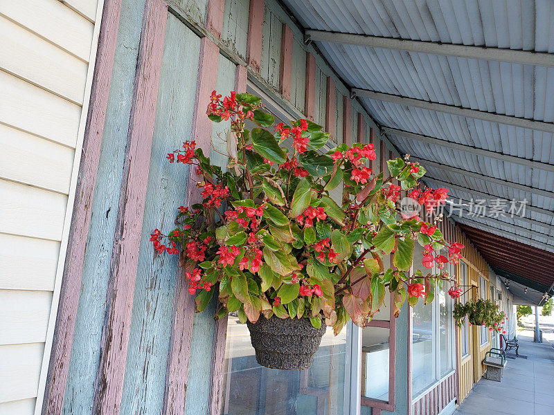 美国西部的户外门廊上挂着盆花