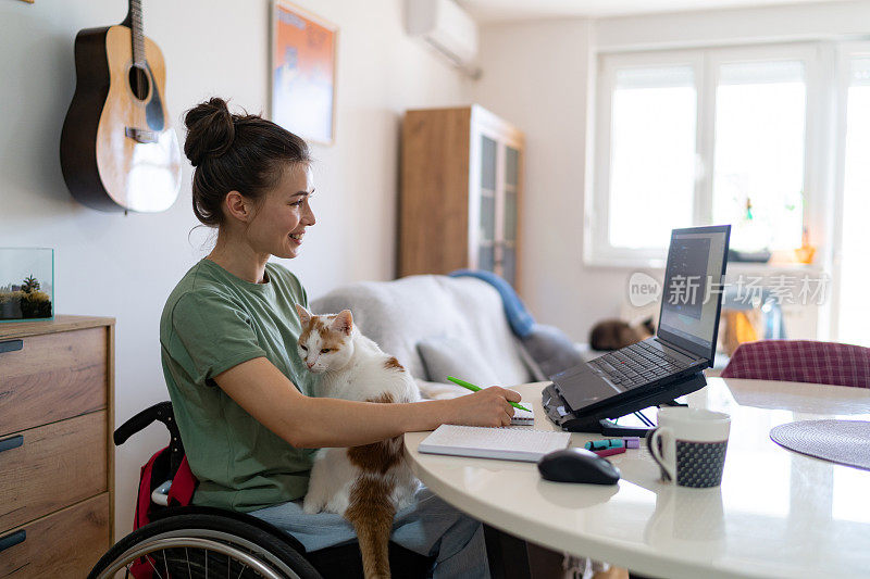 快乐的女人坐在轮椅上享受与她的猫，同时在家里用笔记本电脑工作。