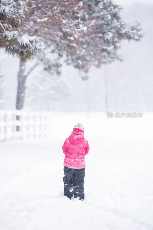 穿着粉色衣服的年轻女孩在冬日暴风雪中行走