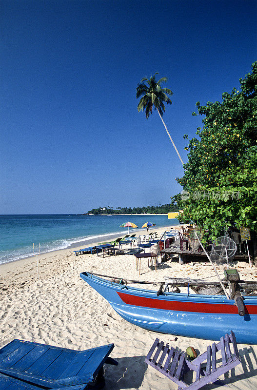 斯里兰卡乌纳瓦图纳海滩，椰子树。