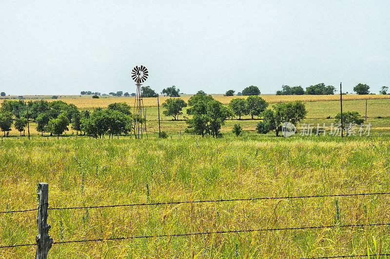 德克萨斯州克劳福德附近的篱笆田的风车