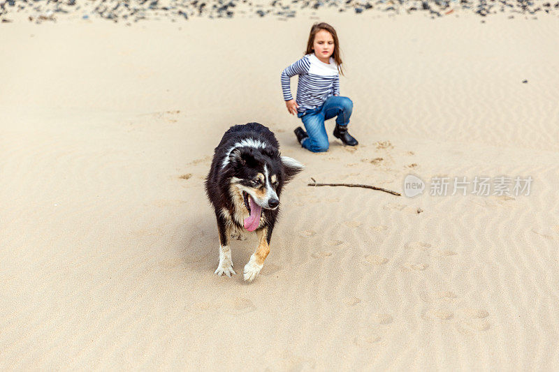6岁小女孩和她的狗在海滩上