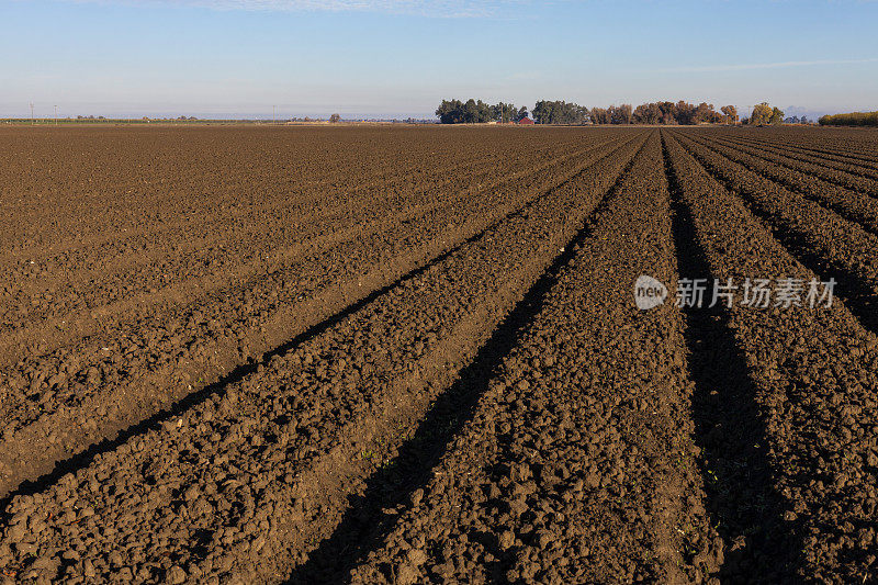 在空地上种植成排的新鲜土壤