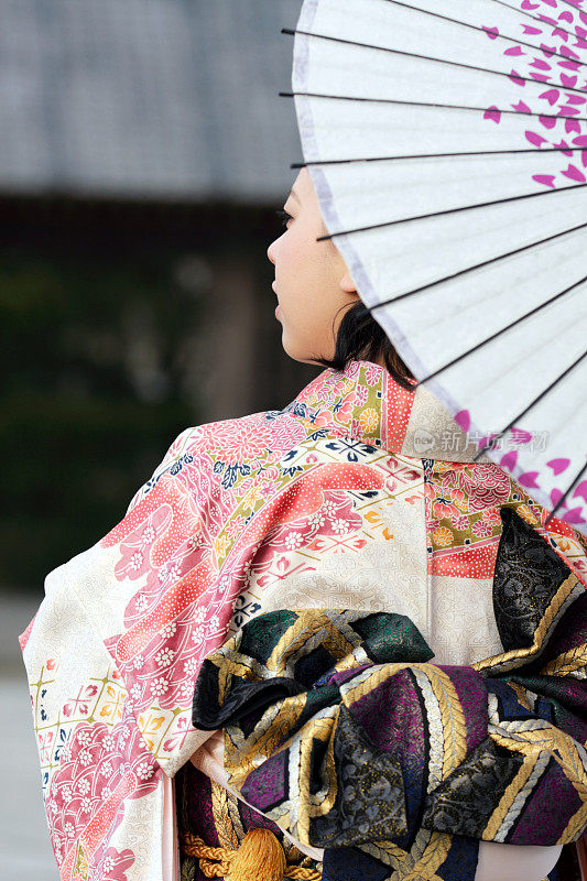 日本妇女穿着和服，带着伞看别处