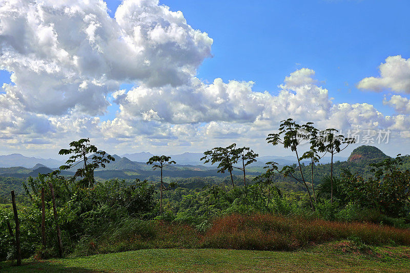巴拿马雨林和山脉，