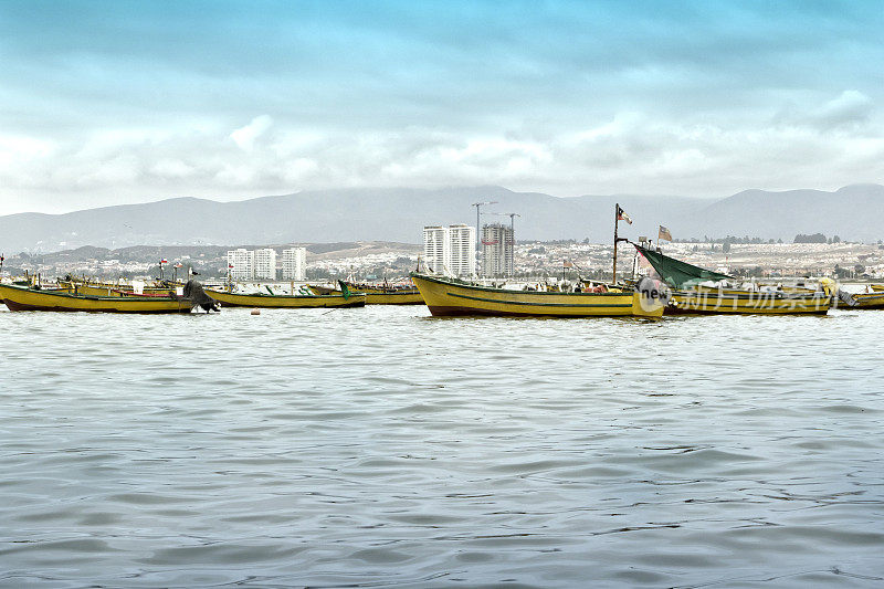 智利科金波港。