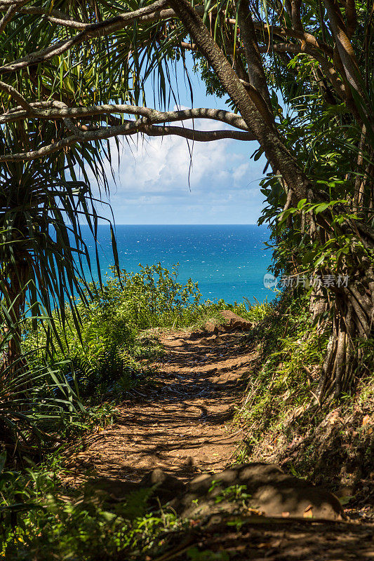 卡拉劳小径景观，纳帕利海岸州立公园，考艾岛，夏威夷