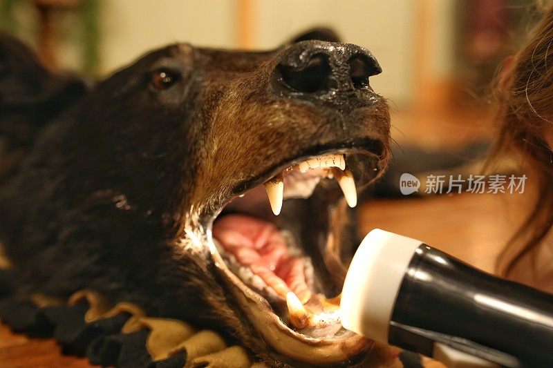 黑熊幼崽标本地毯手电筒指向嘴