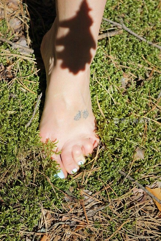 女人的腿在苔藓上。