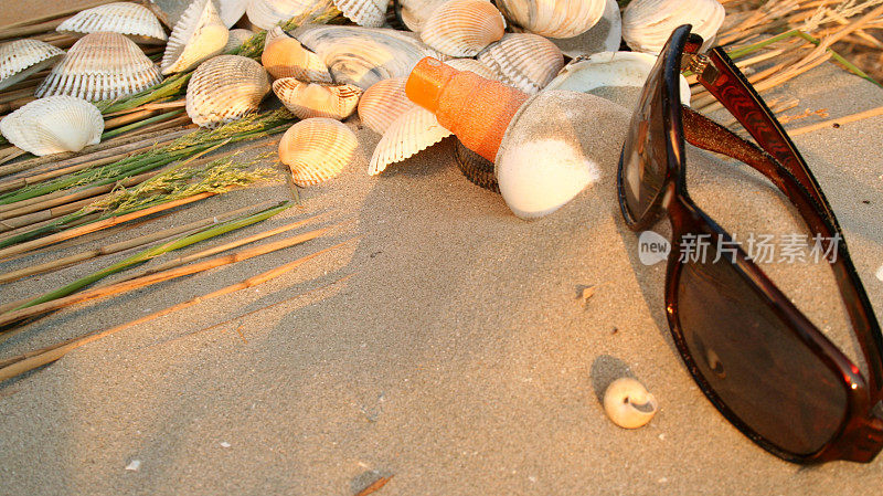 贝壳，沙滩上的太阳镜
