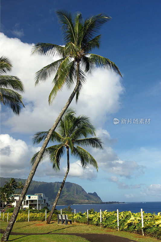 夏威夷哈纳雷湾考艾岛自行车道