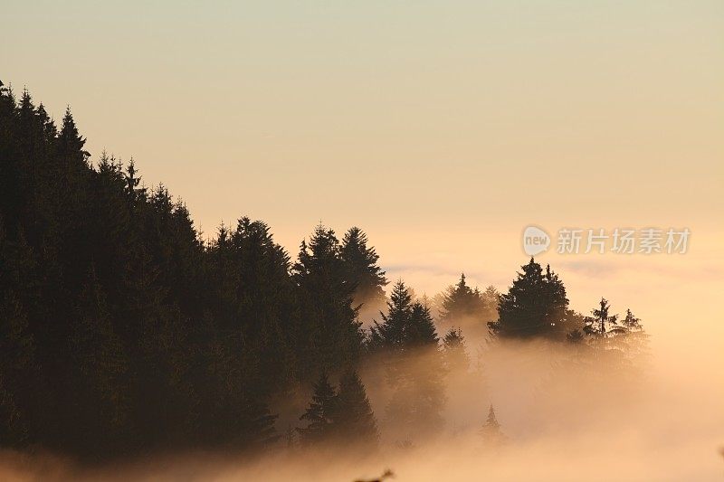 景观与日落