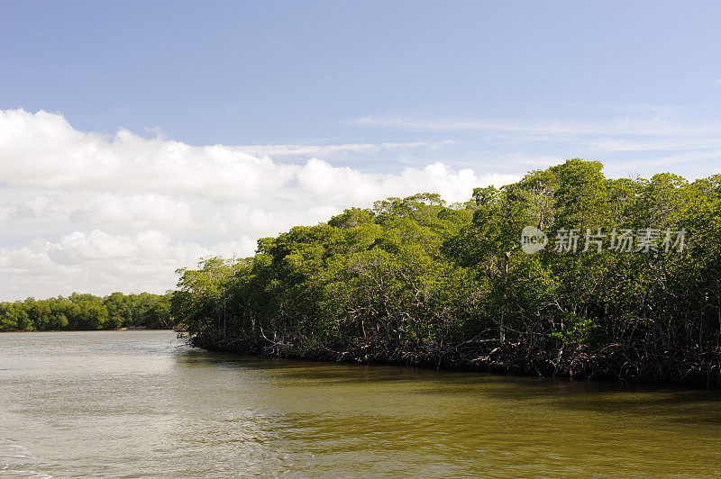 大沼泽地国家公园的千岛