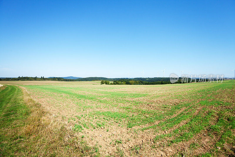 Hunsrück的田野和树林