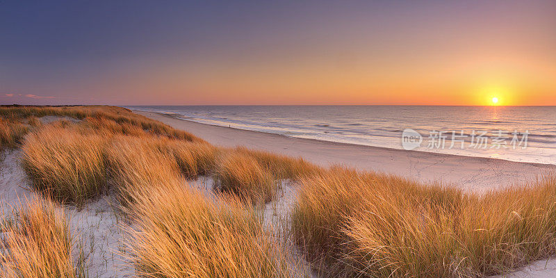 沙丘和海滩在日落的特塞尔岛，荷兰