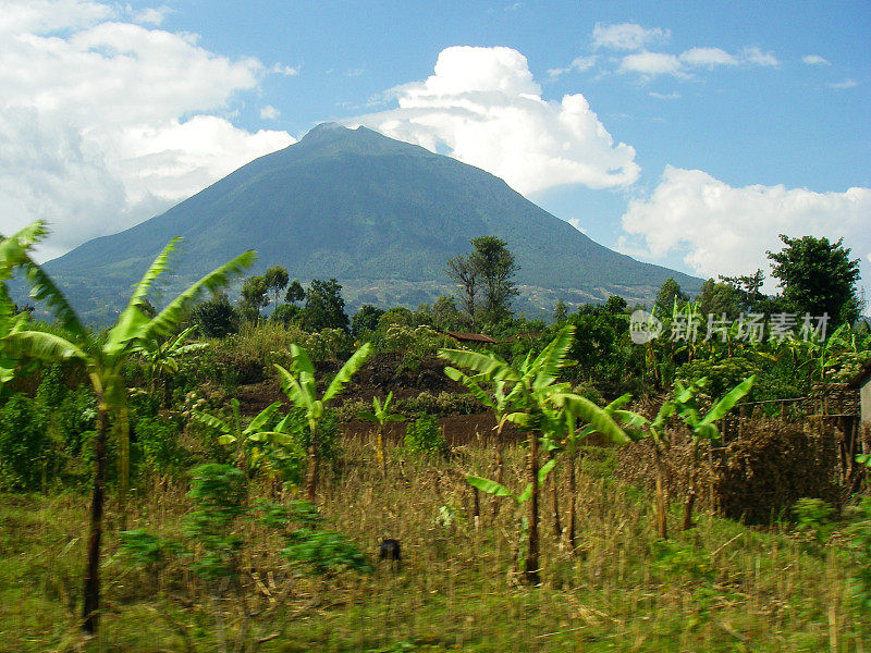 香蕉，豆类和农民的土地与Muhabura火山卢旺达