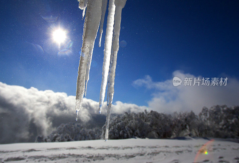 澳大利亚维多利亚阿尔卑斯山上的冰柱