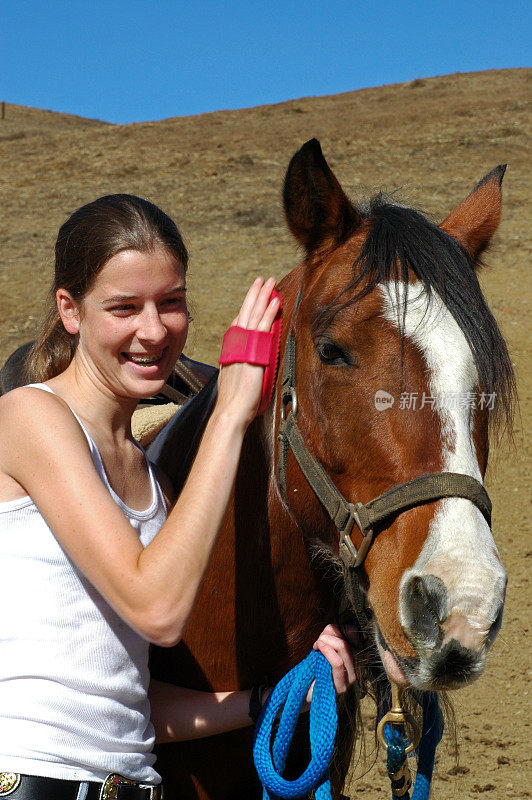 少女用咖喱梳梳理她的马