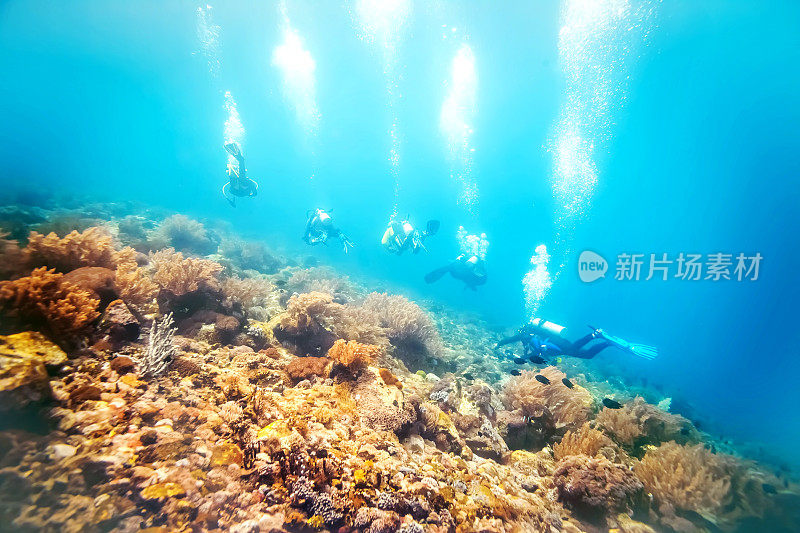 不明身份的水肺潜水员在一个巨大的珊瑚礁周围游泳
